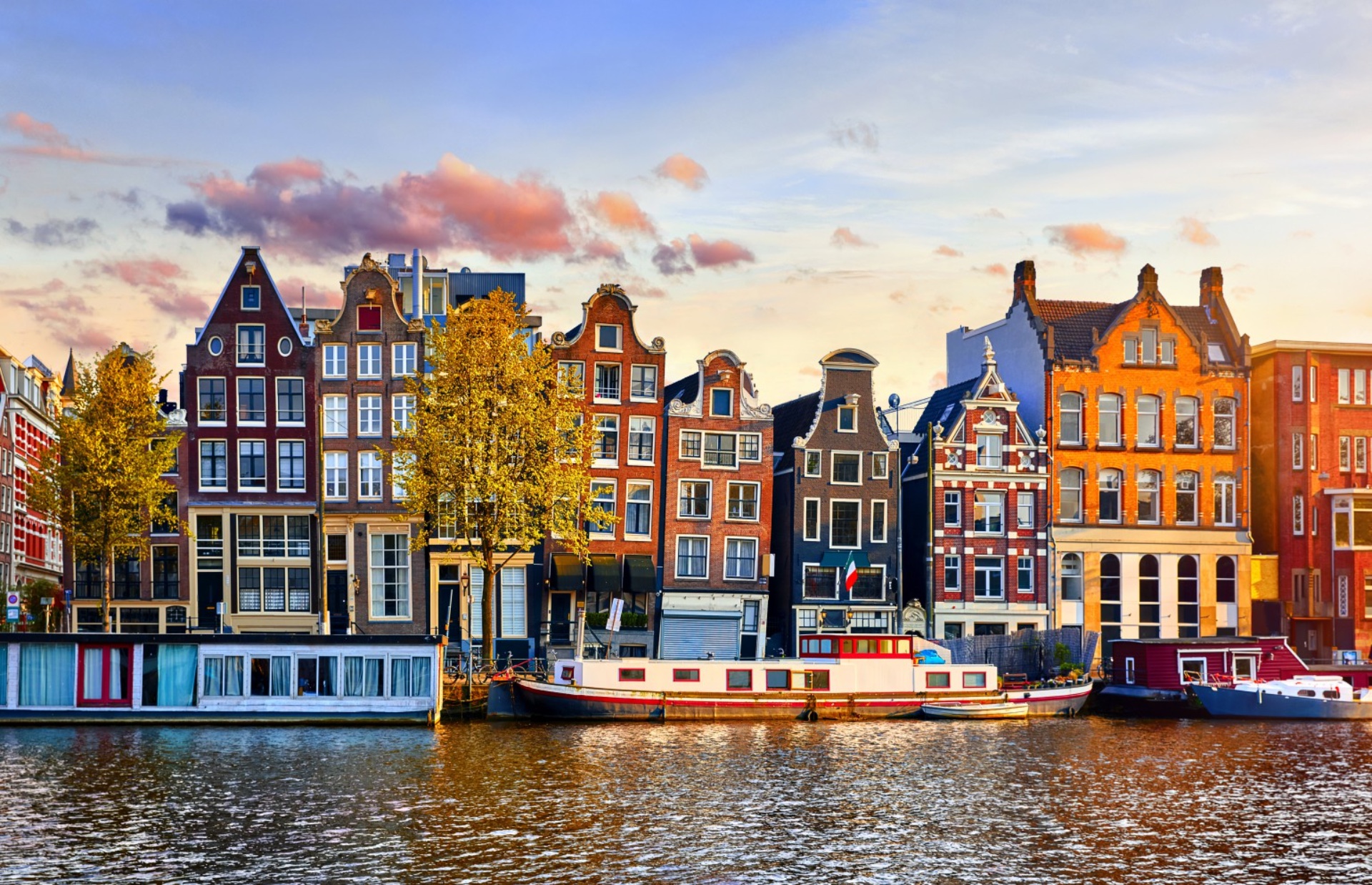 guided tours in amsterdam