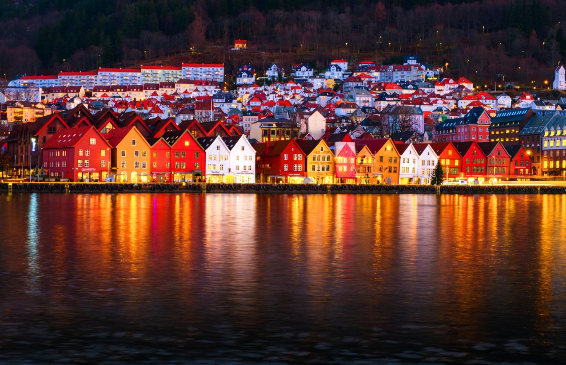 bergen night tour