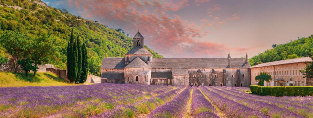 lavender fields private tours from nice