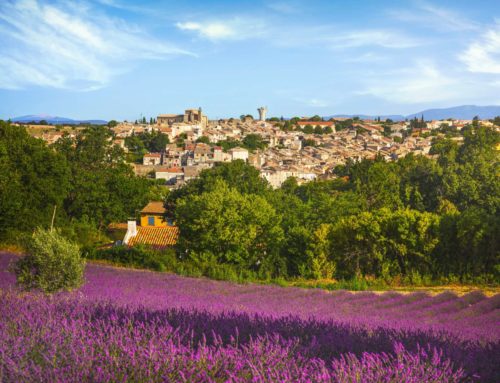 Nice To Lavender fields Private Tours